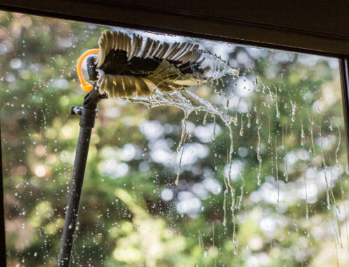 Window Cleaning: Why Is It More Important Than You Think?